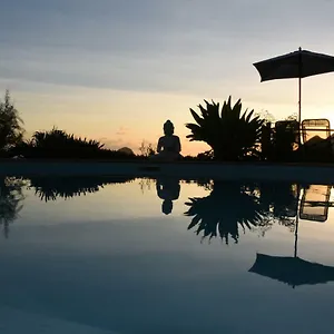 Ti Coin De Paradis Frangipanier Appartement Le Diamant